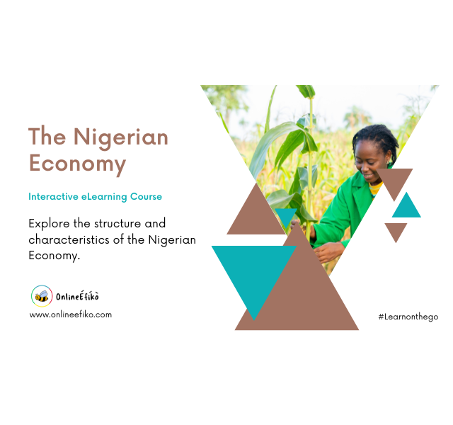 the-nigerian-economy